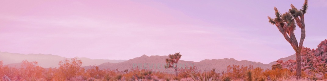 Desert_Pink_04_UW_SD.jpg