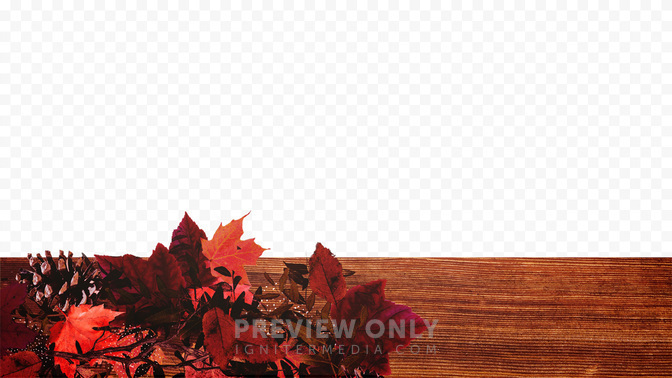 Goodbye-WIDE#preset=tg_transparent_png_preview.jpg