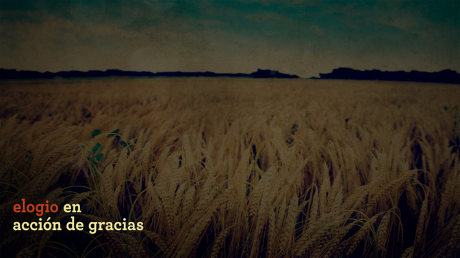 Elogio_en_Accin_de_Gracias_16x9-CONTENT-2#preset=tg_alt2.jpg