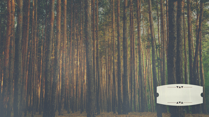 Forest_Morning_-_Welcome_16x9-CONTENT-3#preset=tg_alt3.jpg