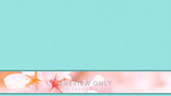 Spring_Flowers_-_See_You_Next_Week_16x9-BACKGROUND#preset=tg_bg.jpg