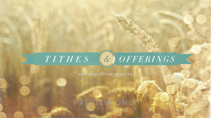 wheat field - tithes and offerings