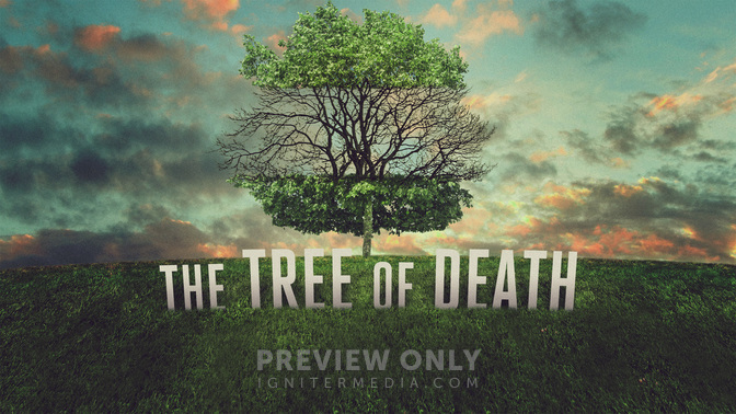 Tree_of_Death_WIDE-TITLE-2#preset=tg_title2.jpg