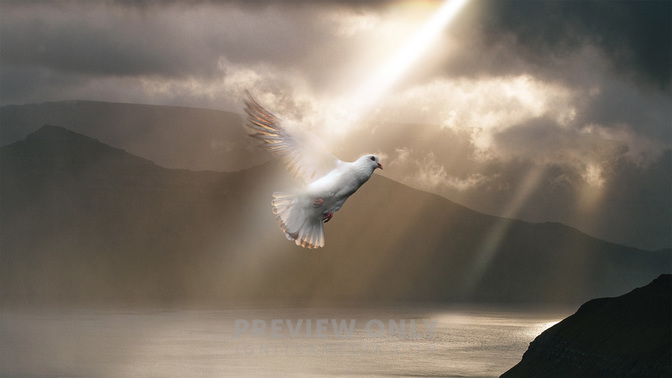 Pentecost_TT3_Title_WIDE#preset=tg_title3.jpg
