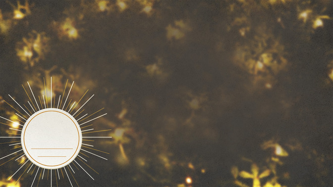 Angel_Tree_16x9-CONTENT-3#preset=tg_alt3.jpg