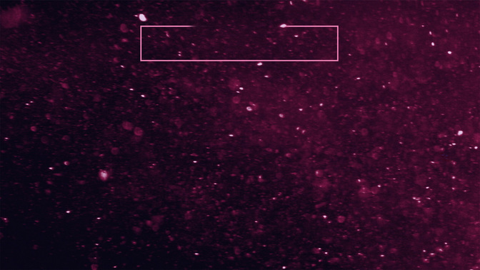 Seeyou-WIDE#preset=tg_alt2.jpg