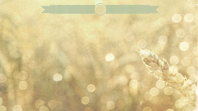 Wheat_Field_-_Thanks_For_Coming_16x9-CONTENT-3#preset=tg_alt3.jpg