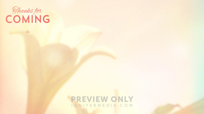 Lilies_-_Thanks_For_Coming_16x9-CONTENT-2#preset=tg_alt2.jpg