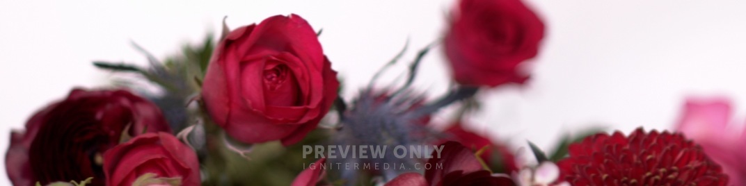 Spring_Floral_Flowers_Pass_UW_SD.jpg