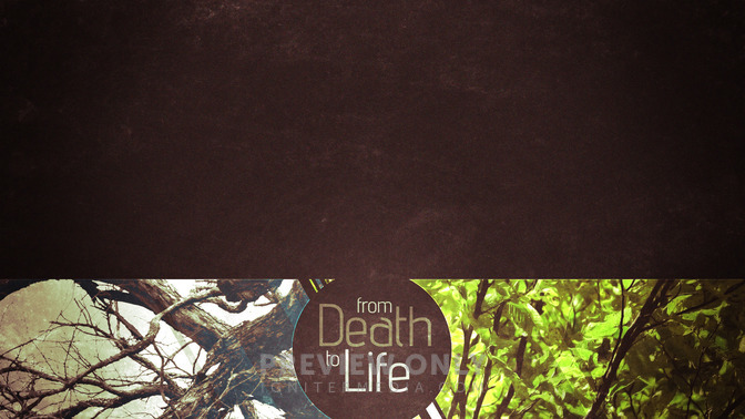 From_Death_to_Life_16x9-CONTENT-2#preset=tg_alt2.jpg