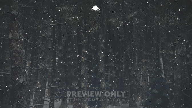 Winter_Wonderland-Christmas_Schedule-WIDE#preset=tg_alt2.jpg