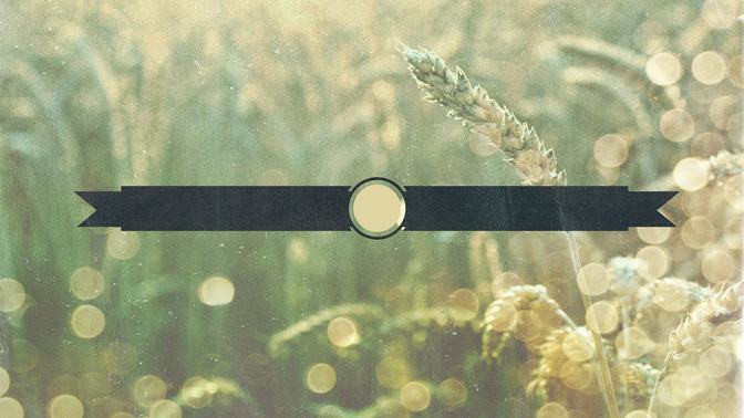 Wheat_Field_-_Upcoming_Events_16x9-TITLE-3#preset=tg_title3.jpg