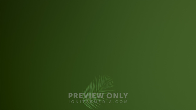 PalmWelcome-WIDE#preset=tg_alt2.jpg