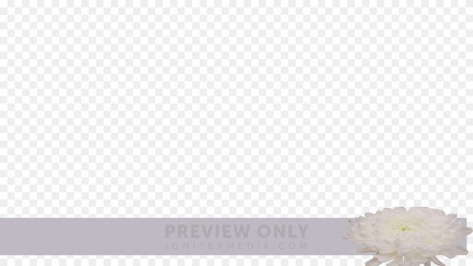 Floral_Details_Floral_Details_L3_TH_Offering_WIDE#preset=tg_transparent_png_preview.jpg