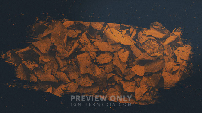 Brushed_Leaves-Fall_Festival_WIDE-TITLE-3#preset=tg_title3.jpg