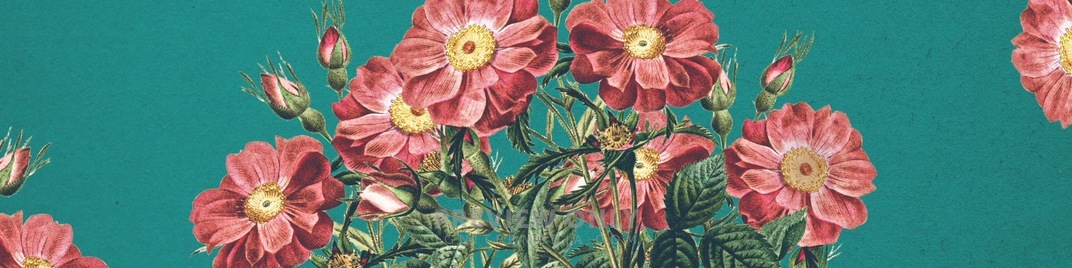 Mothers_Day_Flowers_2_UW_SD.jpg