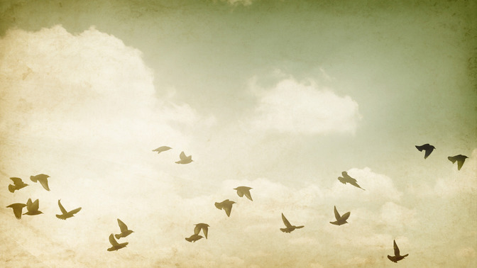 Unity_Gods_Place_of_Blessing_16x9-TITLE-3#preset=tg_title3.jpg
