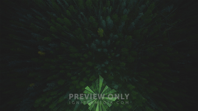 Revival_WIDE-CONTENT-3#preset=tg_alt3.jpg