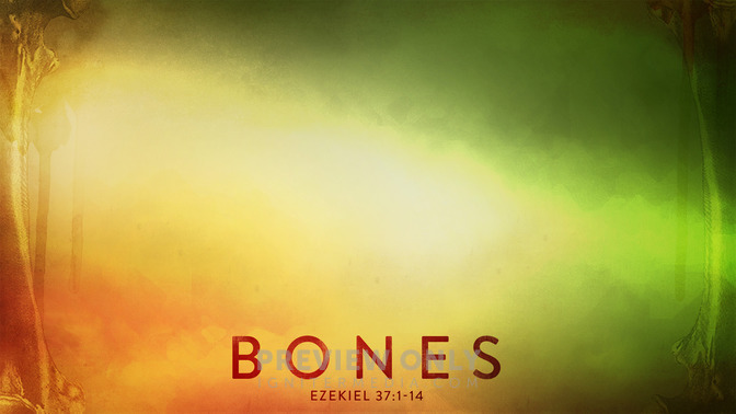 Bones_16x9-CONTENT-1#preset=tg_alt1.jpg