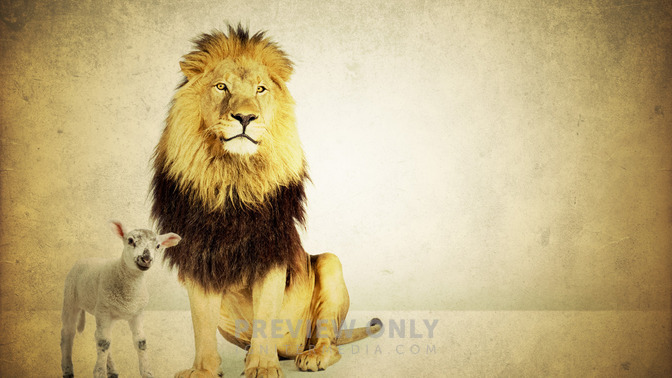 The_Lamb__Lion_of_Heaven_16x9-TITLE-3#preset=tg_title3.jpg