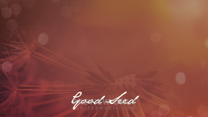 Good_Seed_16x9-CONTENT-2#preset=tg_alt2.jpg