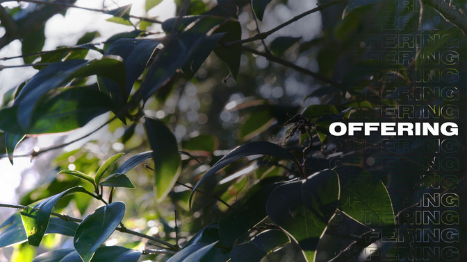 Offering-WIDE#preset=tg_alt1.jpg