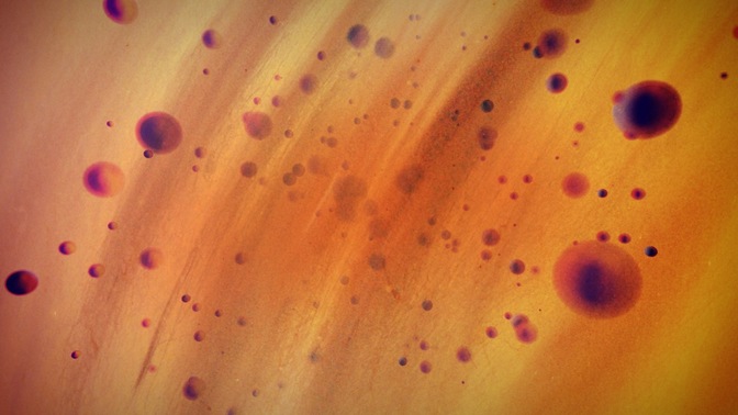colordrops - purple yellow