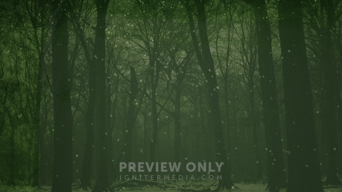 Muted_Christmas_Green_HD.jpg