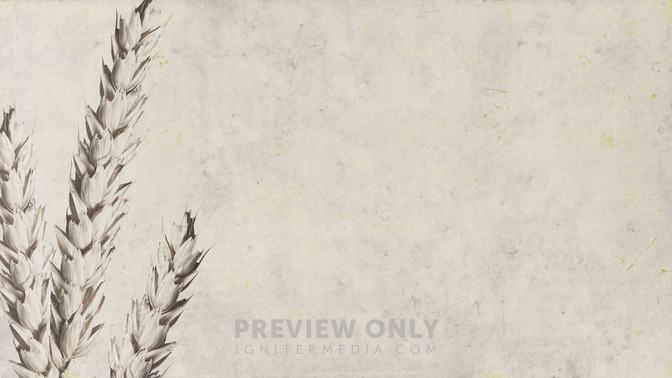 When_a_Grain_of_Wheat_Falls_16x9-BACKGROUND#preset=tg_bg.jpg