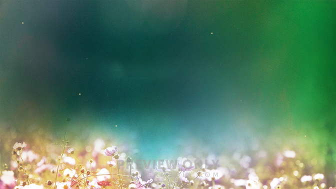 Goodbye_Fields_of_Bloom_WIDE-CONTENT-3#preset=tg_alt3.jpg