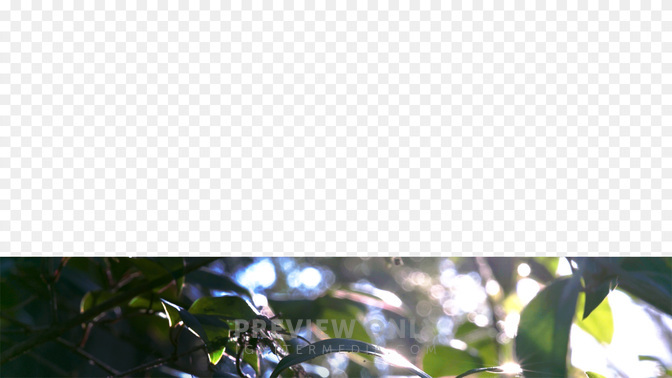 Offering-WIDE#preset=tg_transparent_png_preview.jpg