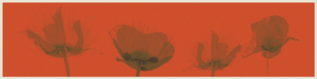 memorial day