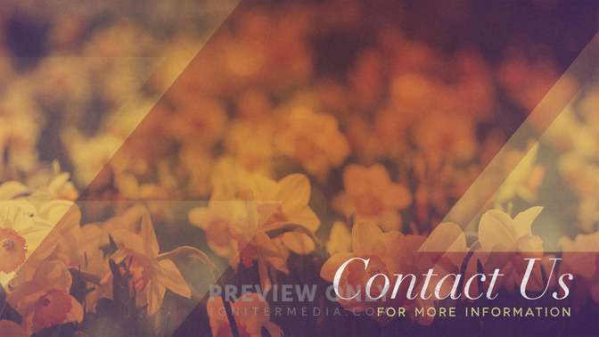 Morning_Flowers_-_Contact_Us_16x9-CONTENT-1#preset=tg_alt1.jpg