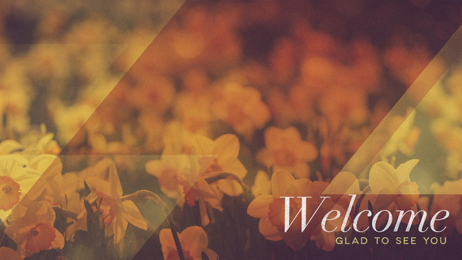 Morning_Flowers_-_Welcome_16x9-CONTENT-1#preset=tg_alt1.jpg