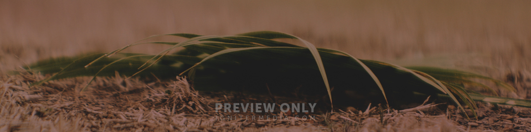 Palm Sunday Dark UW_SD.jpg