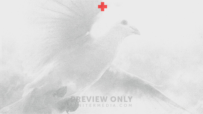 Freely_Given_16x9-CONTENT-3#preset=tg_alt3.jpg