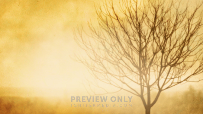 The_Barren_Fig_Tree_16x9-TITLE-3#preset=tg_title3.jpg