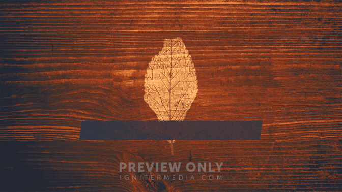 Wood_Leaves-Offerings_WIDE-TITLE-3#preset=tg_title3.jpg