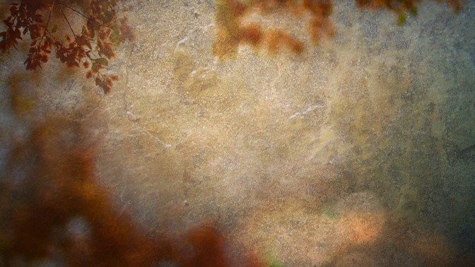 FallOrangeTreeLeft_still-1280x720.jpg