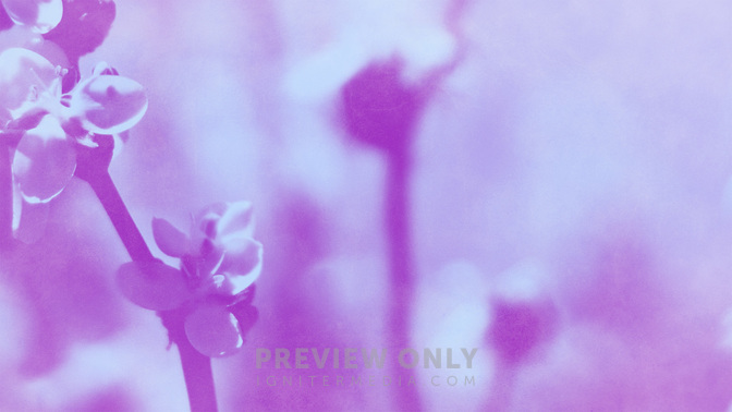 Pastel_Scenes-Offerings_WIDE-CONTENT-3#preset=tg_alt3.jpg