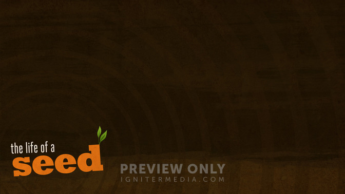 Life_of_a_Seed_16x9-CONTENT-2#preset=tg_alt2.jpg