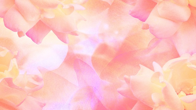 large flower peach