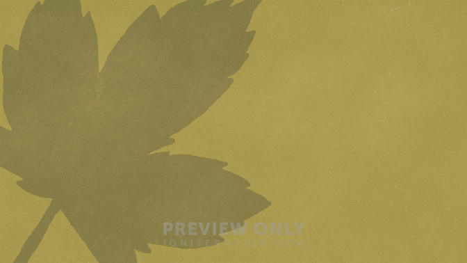 Fall_Circles-Goodbye_WIDE-BACKGROUND#preset=tg_bg.jpg